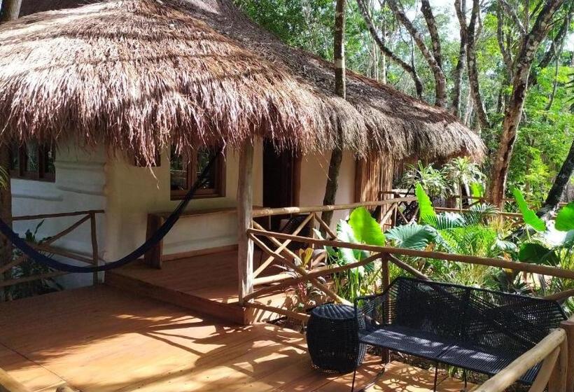 Люкс с Террасой, Boutique Chacá