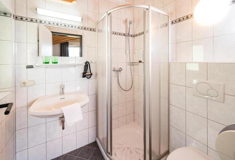 חדר בסיסי, Apartmenthotel Sonnenhof