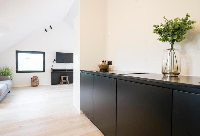 带1个卧室的高级公寓, B&b Amelhof