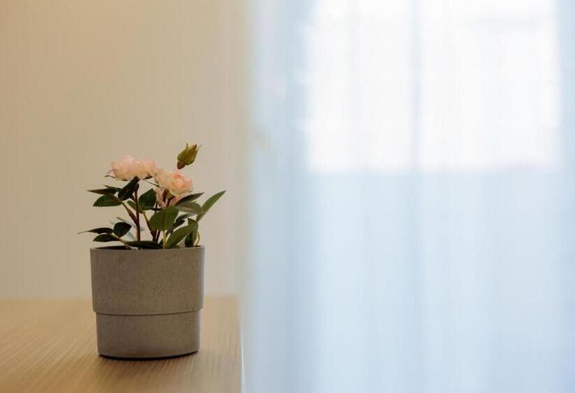 חדר סטנדרט, Fuori Rotta