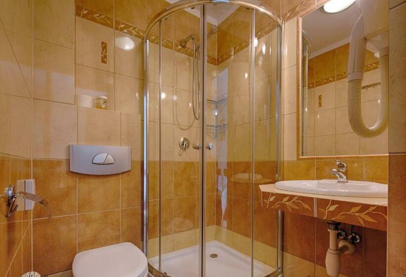 اتاق استاندارد, Pensjonat Dawidek