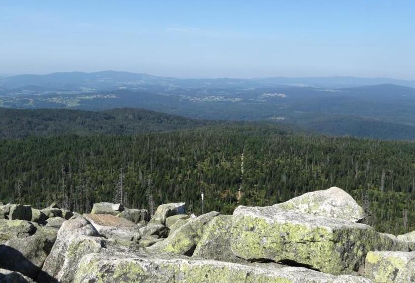 标准单人间, Gästehaus Am Goldberg