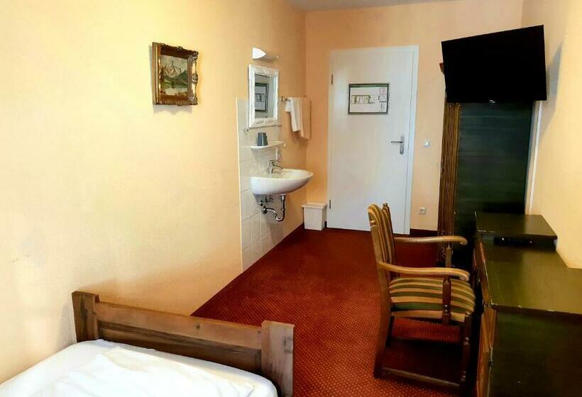 غرفة قياسية فردية حمام مشترك, Werdenfelser Hof