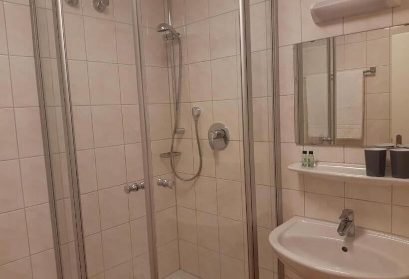 غرفة قياسية, Werdenfelser Hof