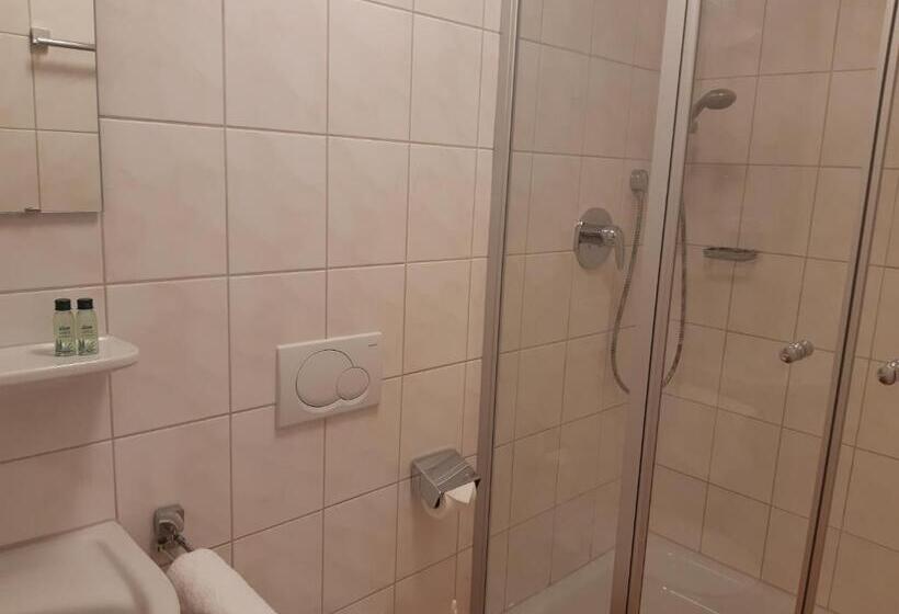 غرفة قياسية, Werdenfelser Hof