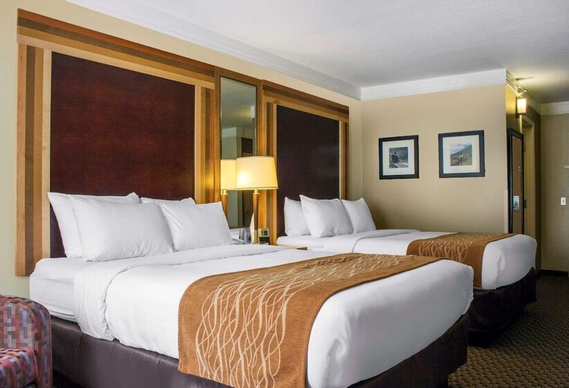 غرفه قياسيه سريرين مزدوجين, Comfort Inn & Suites Durango