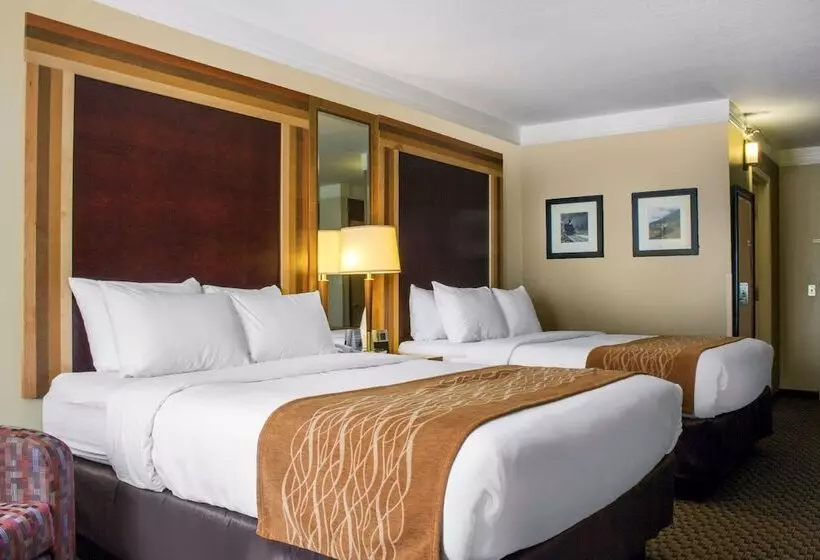 اتاق استاندارد با 2 تخت دوبل, Comfort Inn & Suites Durango