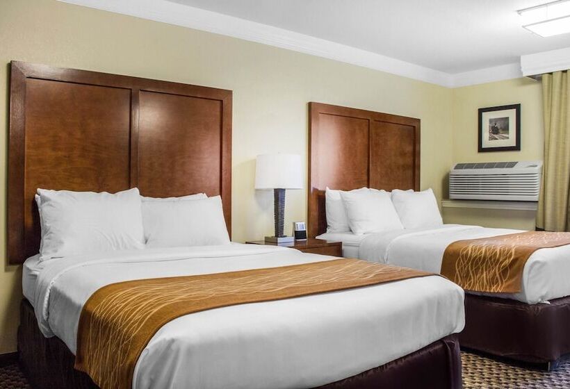 غرفه قياسيه سريرين مزدوجين, Comfort Inn & Suites Durango