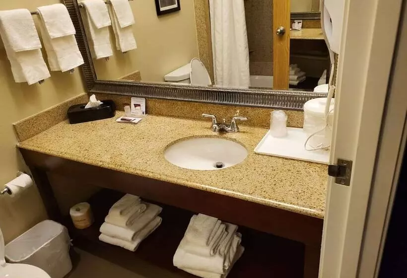 سوییت, Comfort Inn & Suites Durango