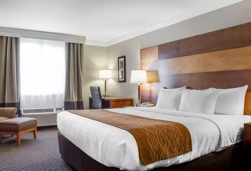 سوییت, Comfort Inn & Suites Durango
