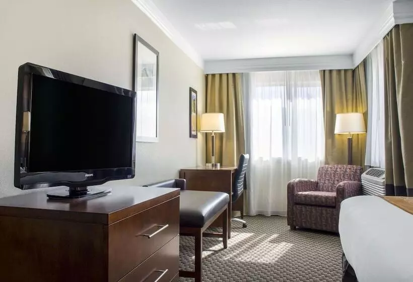 سوییت, Comfort Inn & Suites Durango