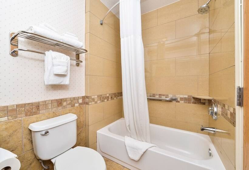 Люкс Адаптированный для Инвалидов, Comfort Inn & Suites Durango