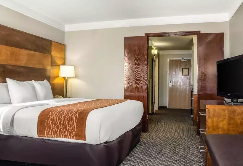 سوئیت برای معلولان, Comfort Inn & Suites Durango