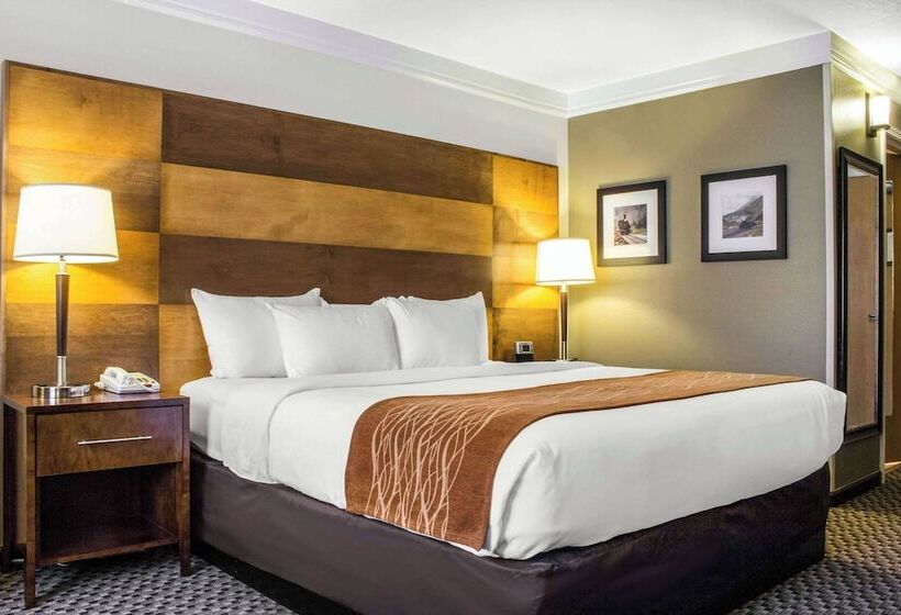 Люкс Адаптированный для Инвалидов, Comfort Inn & Suites Durango
