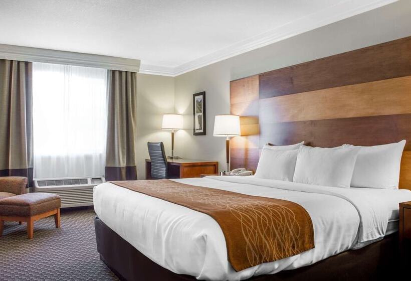 جناح لذوى الاحتياجات الخاصة, Comfort Inn & Suites Durango