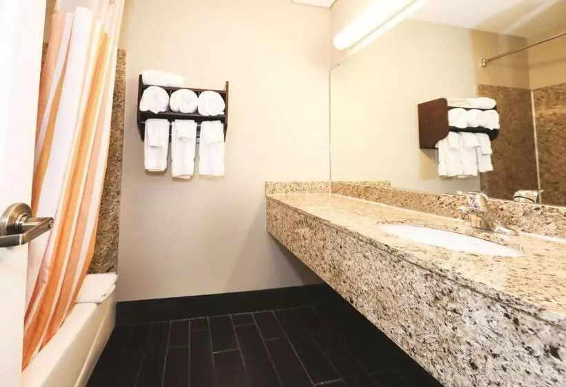 Standard-huone 2 Parivuodetta, La Quinta Inn By Wyndham Sandusky Near Cedar Point