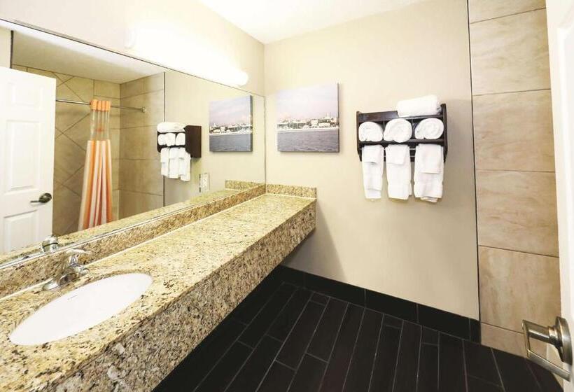 带大床的豪华间, La Quinta Inn By Wyndham Sandusky Near Cedar Point