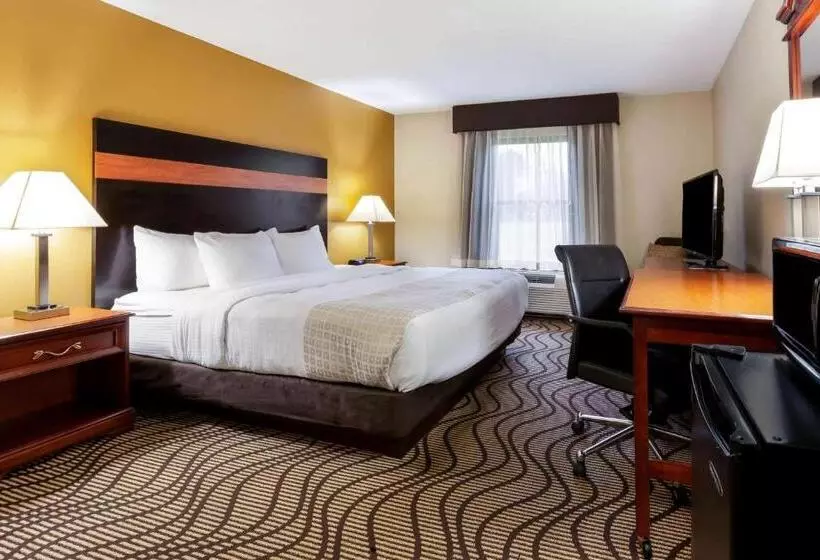 Standard-invahuone King-vuode, La Quinta Inn By Wyndham Sandusky Near Cedar Point