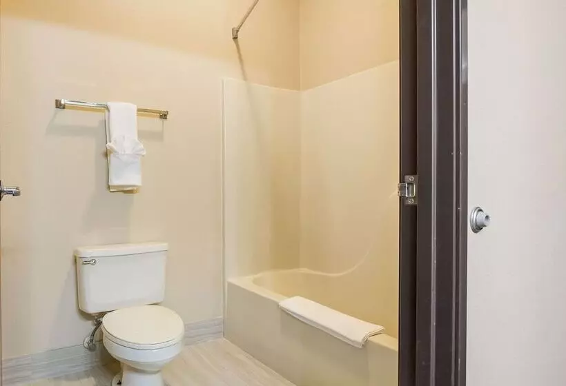 Sviitti, Quality Inn & Suites Caseyville  St. Louis