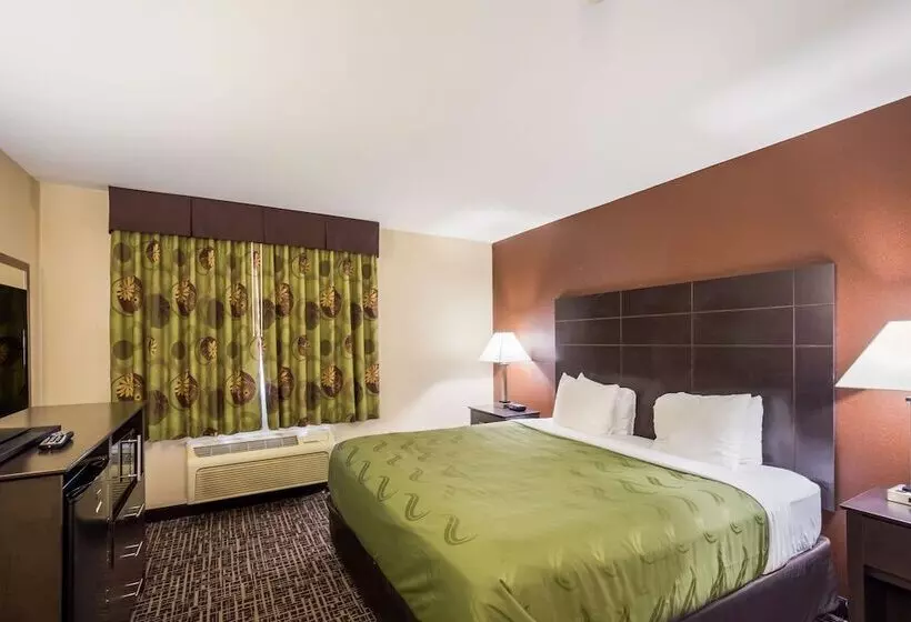 Sviitti, Quality Inn & Suites Caseyville  St. Louis