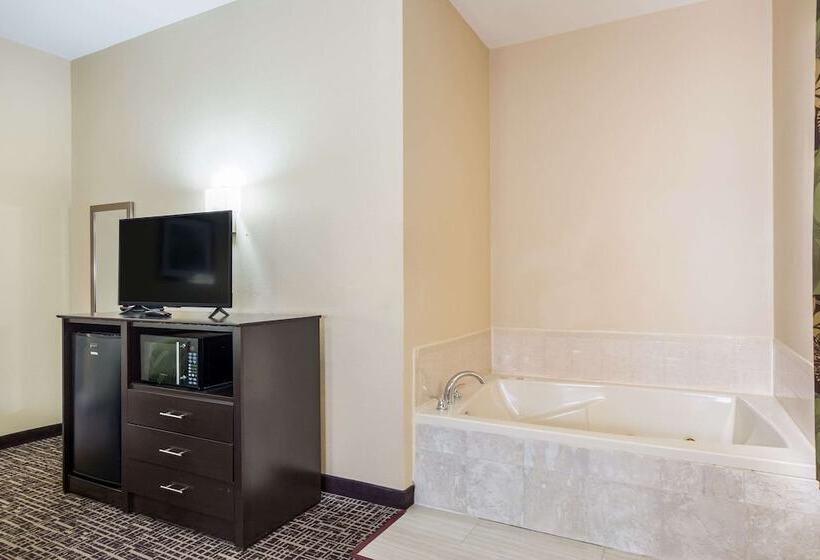 סוויטה, Quality Inn & Suites Caseyville  St. Louis