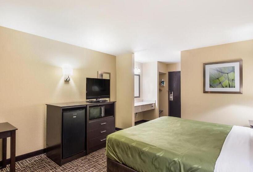 חדר סטנדרט עם מיטת קינג, Quality Inn & Suites Caseyville  St. Louis