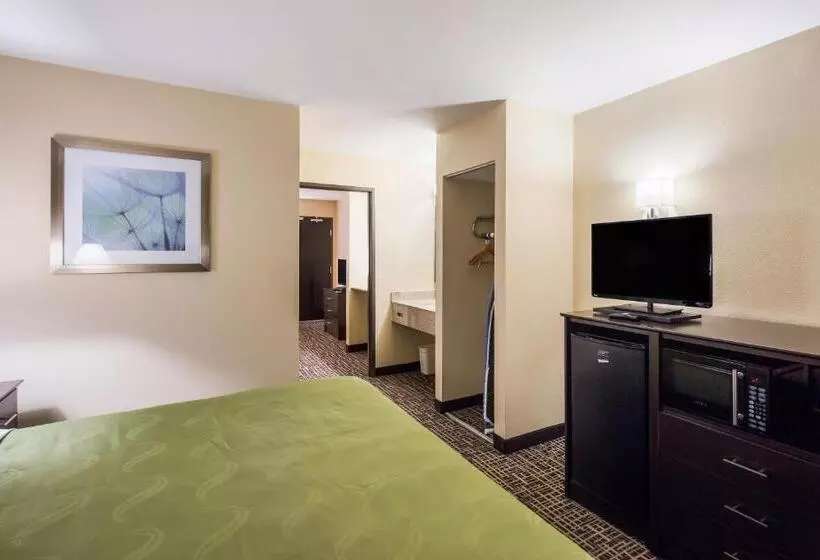 Sviitti King-vuode, Quality Inn & Suites Caseyville  St. Louis