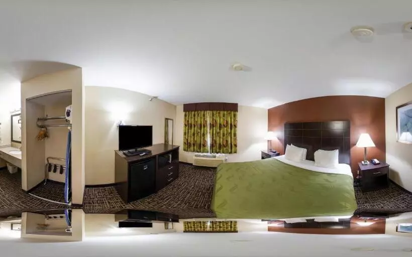Sviitti King-vuode, Quality Inn & Suites Caseyville  St. Louis