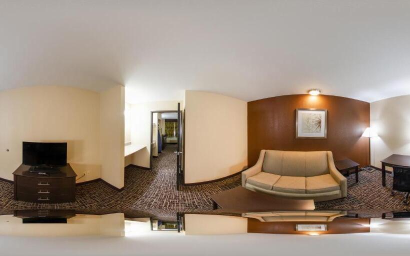 Suite King Size Seng, Quality Inn & Suites Caseyville  St. Louis