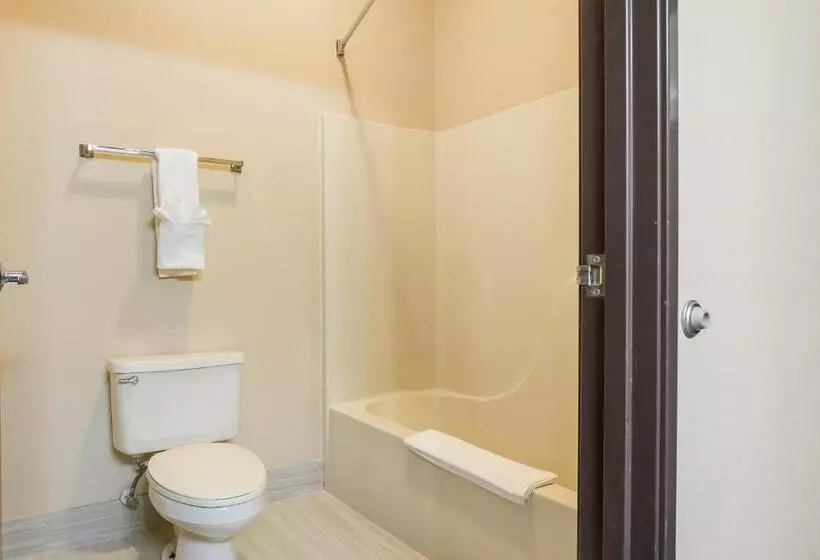 Sviitti King-vuode, Quality Inn & Suites Caseyville  St. Louis