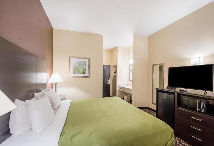 Suite King Size Seng, Quality Inn & Suites Caseyville  St. Louis