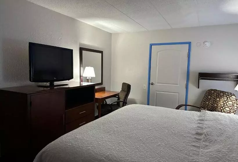 اتاق سوپریور برای معلولان, American Inn & Suites Bishop Airport Flint