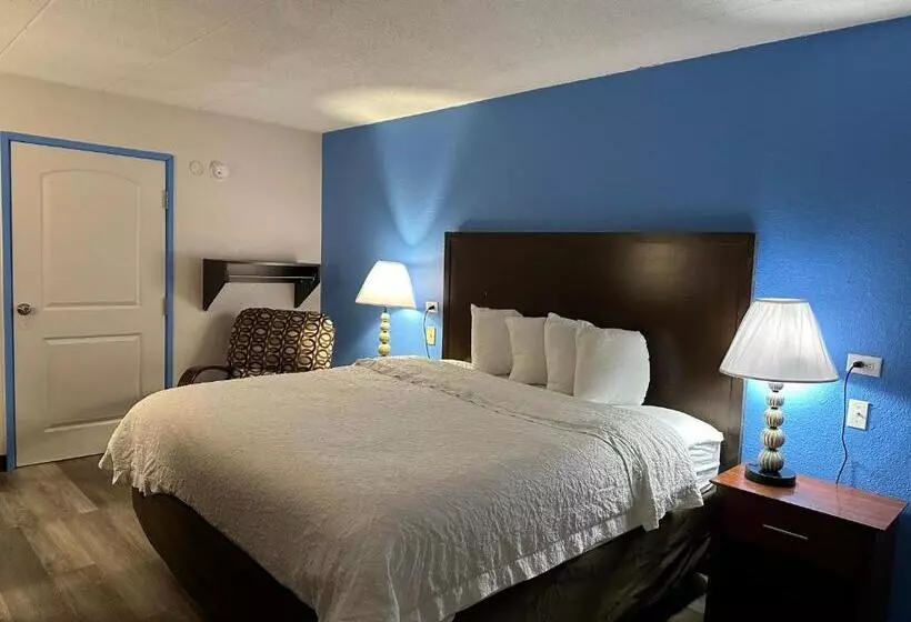 اتاق سوپریور برای معلولان, American Inn & Suites Bishop Airport Flint