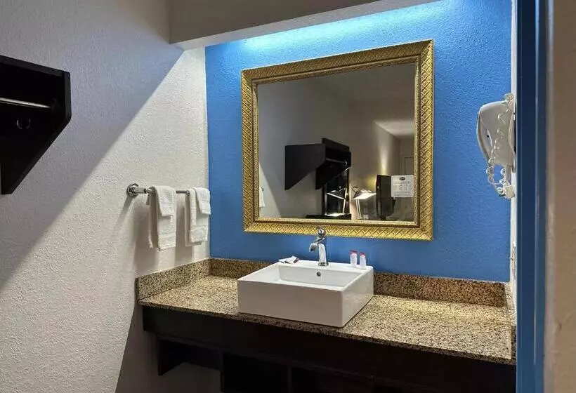 اتاق سوپریور با تخت بزرگ, American Inn & Suites Bishop Airport Flint