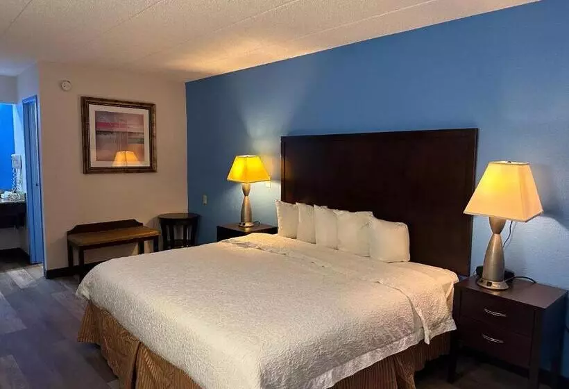 اتاق سوپریور با تخت بزرگ, American Inn & Suites Bishop Airport Flint