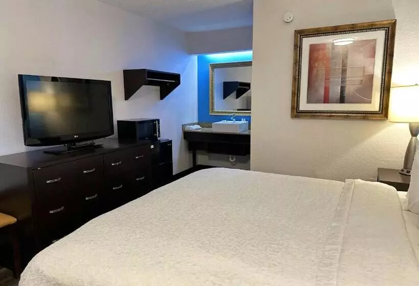 اتاق استاندارد با تخت بزرگ, American Inn & Suites Bishop Airport Flint
