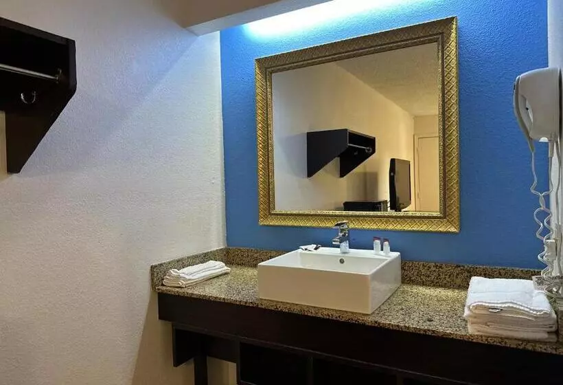 اتاق استاندارد با تخت بزرگ, American Inn & Suites Bishop Airport Flint