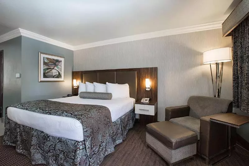 اتاق استاندارد با تخت بزرگ, Best Western University Inn Santa Clara