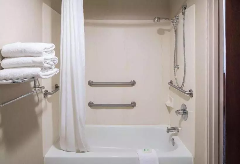 اتاق استاندارد با تخت بزرگ برای معلولان, Spark By Hilton Denver International Airport