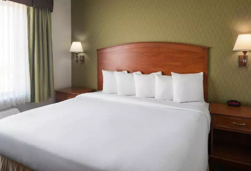 اتاق استاندارد با تخت بزرگ برای معلولان, Spark By Hilton Denver International Airport