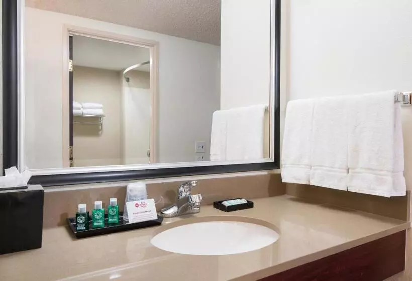 اتاق استاندارد با تخت بزرگ برای معلولان, Spark By Hilton Denver International Airport