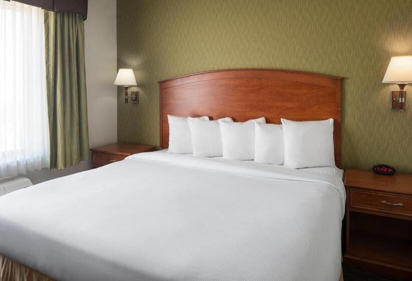 חדר סטנדרט עם מיטת קינג, Spark By Hilton Denver International Airport