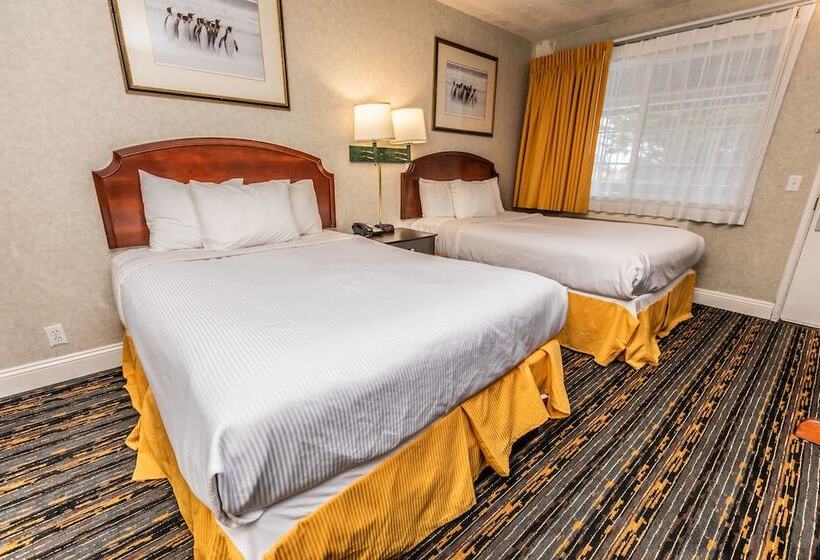 غرفه قياسيه سريرين مزدوجين, Pelican Inn