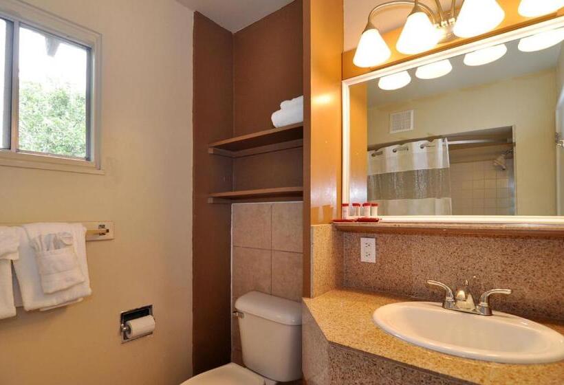 غرفه قياسيه سريرين مزدوجين, Pelican Inn