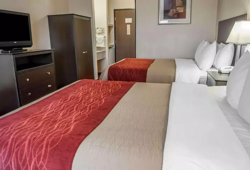 ２ダブルベッドのスタンダードルーム, Quality Inn