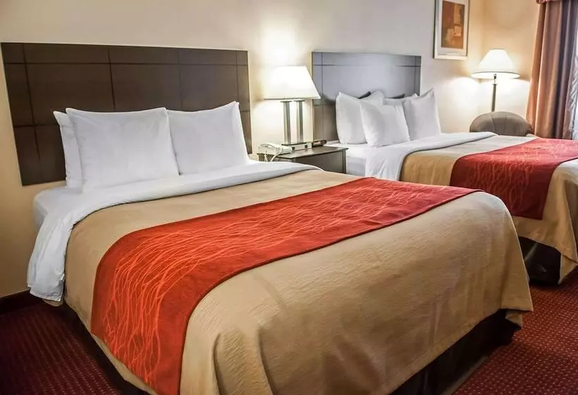２ダブルベッドのスタンダードルーム, Quality Inn