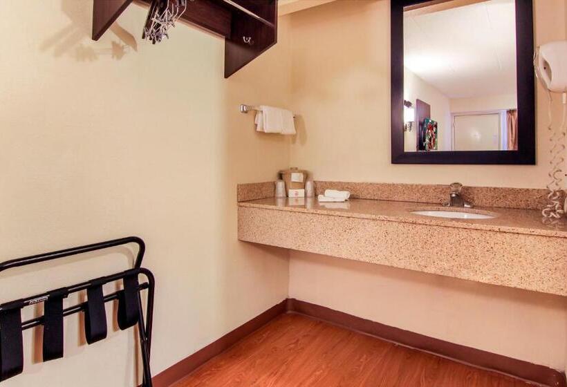 디럭스 룸 킹사이즈 침대, Red Roof Inn Detroit  Troy