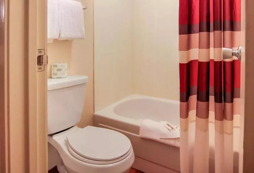 キングサイズベッドのスーペリアルーム, Red Roof Inn Detroit  Troy