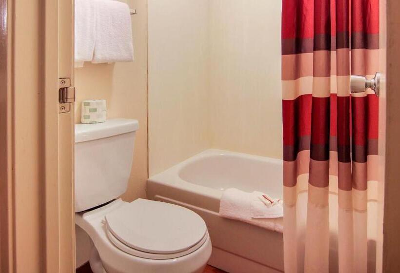 디럭스 룸, Red Roof Inn Detroit  Troy