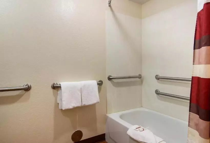障害者適応デラックスルーム, Red Roof Inn Detroit  Troy